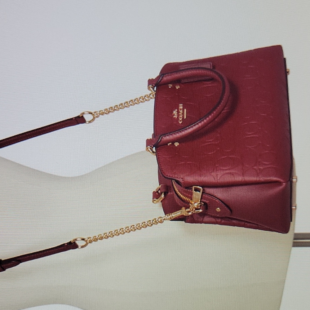 COACH Logo Mini Lillie Carryall Bag NWT